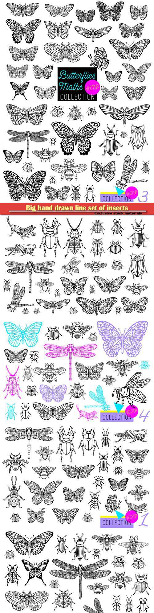 Big hand drawn line set of insects, beetles, honey bees, butterfly moth, bumblebee, wasp, dragonfly,...