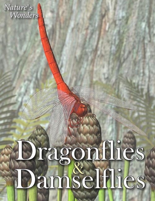 Nature's Wonders Dragonflies & Damselflies