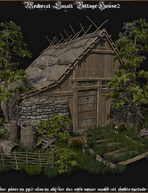 Medieval Small Village House2