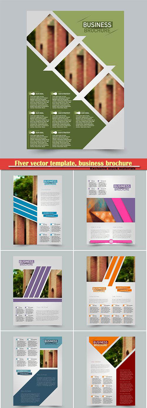 Flyer vector template, business brochure, magazine cover # 5