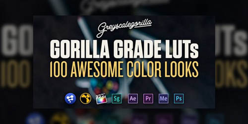 Greyscalegorilla - Gorilla Grade LUT's (Updated)