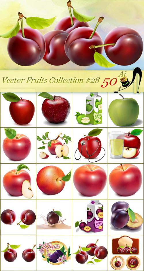 Vector Fruits Collection #28