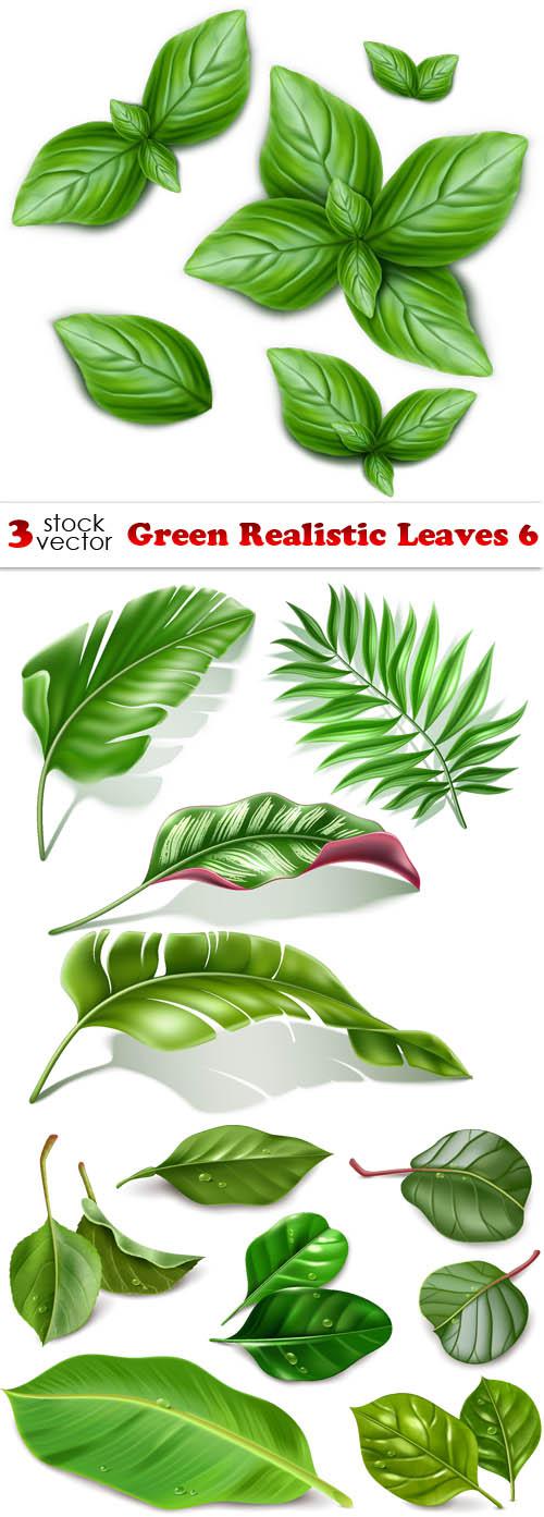 Green Realistic Leaves 6