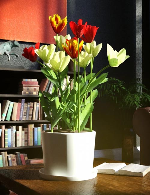 Garden Flowers Vol 2. Tulip Plants