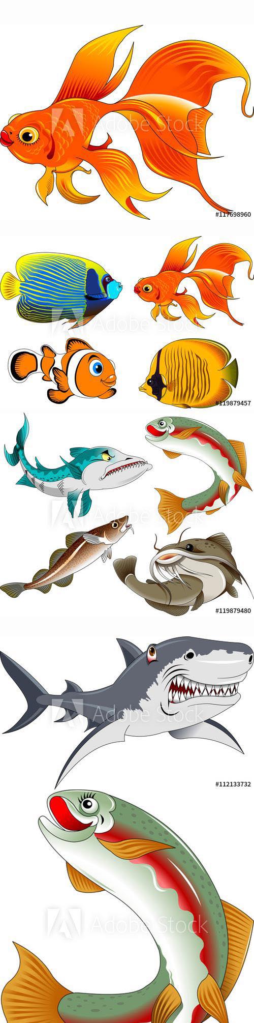 Collection of beautiful fish in a vector and illustration