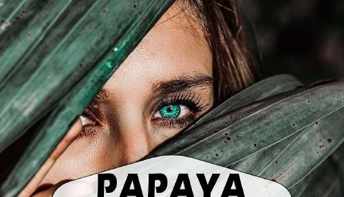 Papaya Photoshop Actions And ACR Presets, Green Ps Presets - 299003