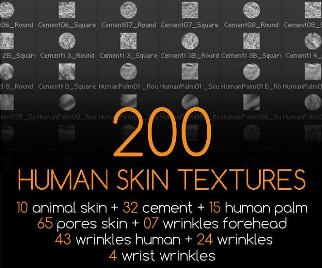 Gumroad - 200 Human Skin Textures