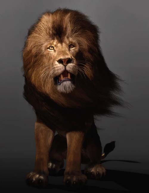 Felidae by AM - Lion - dForce Addon