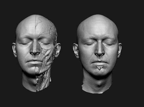 3D Anatomical Model-Reference Collection