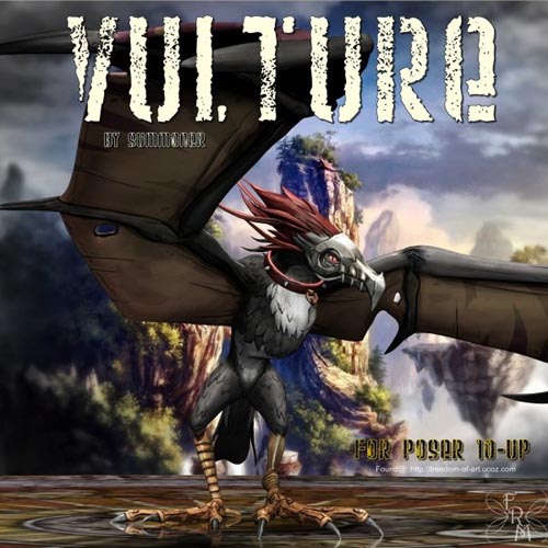 Mr. Vulture - Exclusive