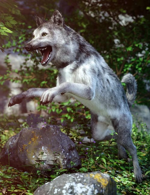 Grey Wolf for Daz Dog 8
