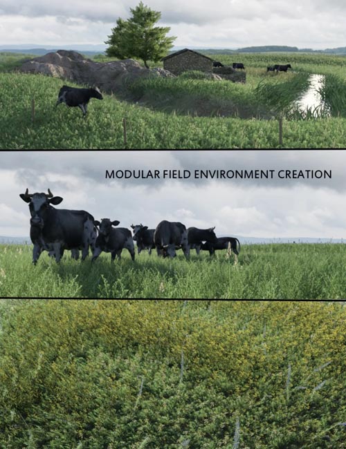 Modular Field Environment