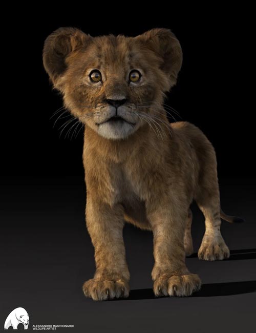 Felidae by AM - Kimbo the Lion Cub