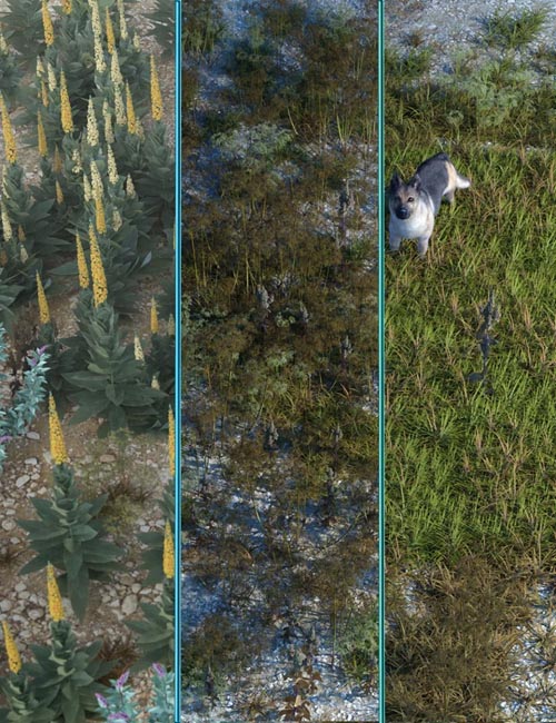 Wasteland Plants and Weeds - Low Resolution Instant Ecosystems
