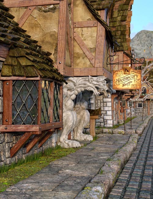 Apothecary Shop Expansion for Old Crone's Home