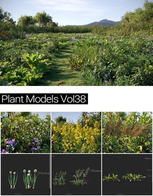 MAXTREE Plant Models Vol 38