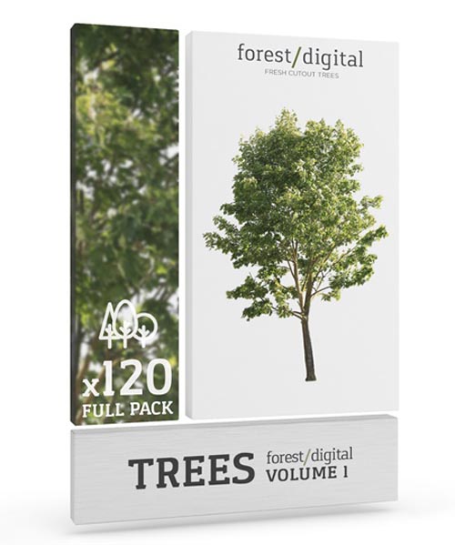Forest Digital вЂ“ Trees Vol. 1
