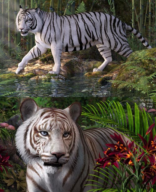 CWRW White Tigers for the HiveWire Tiger