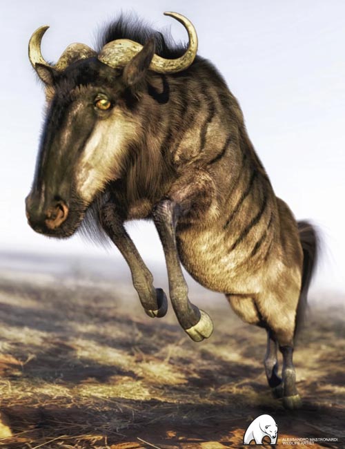 Gnu for DAZ Horse 2 by AM