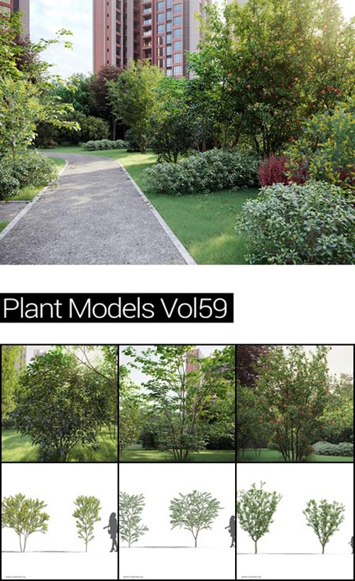 MAXTREE Plant Models Vol 59