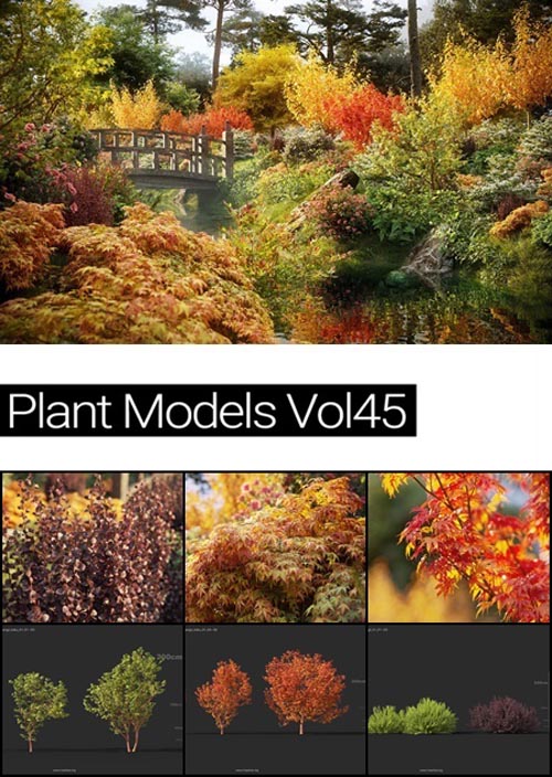 MAXTREE Plant Models Vol 45