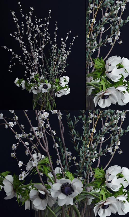 Anemones and branches