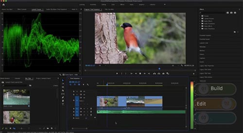 Skillshare вЂ“ Video Editing With Adobe Premiere Pro For Beginners (2020)