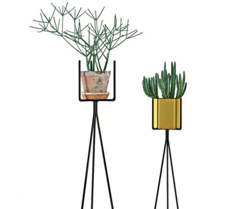 Shelf with Plants
