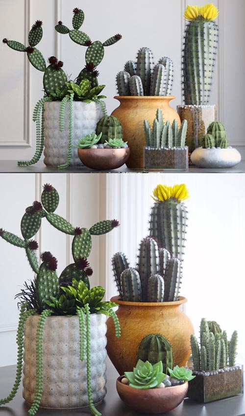 Set with Cactuses 3d Models