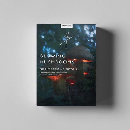 Laanscapes вЂ“ The Magic Mushroom / Glowing Mushrooms Processing (by Daniel Laan)