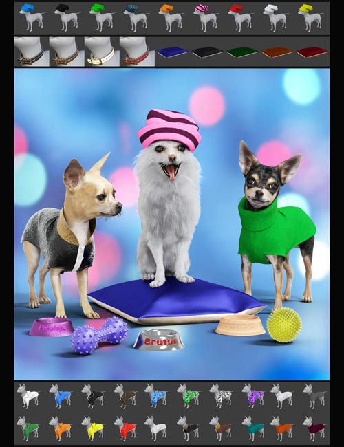 The Chihuahua Mega-Bundle for Daz Dog 8