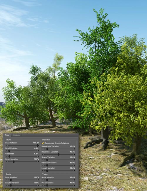 Randomizable Trees