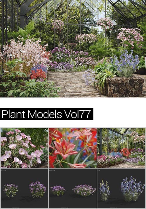 MAXTREE Plant Models Vol 64