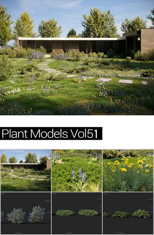 MAXTREE Plant Models Vol 51