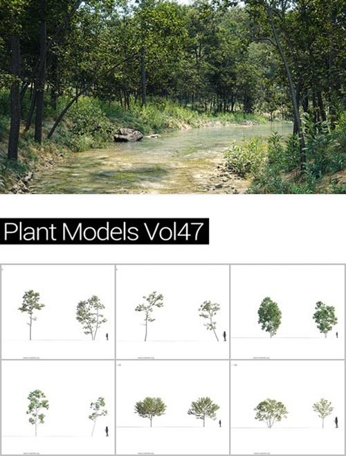 MAXTREE Plant Models Vol 47