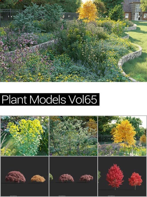 MAXTREE Plant Models Vol 65