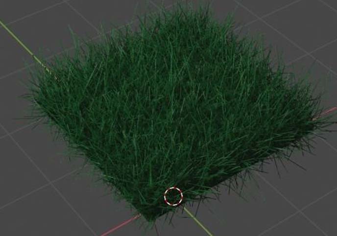 Grass