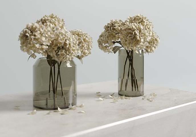 Dried hydrangeas set