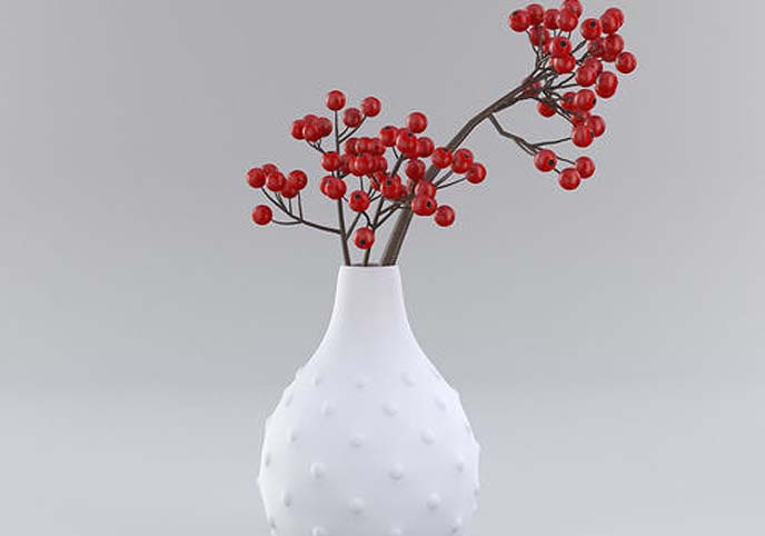 vase with berries