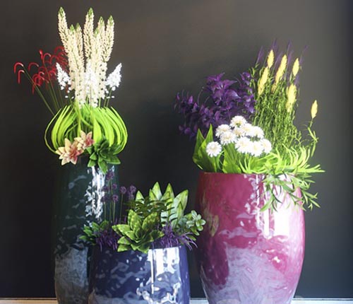 Pots with flowers