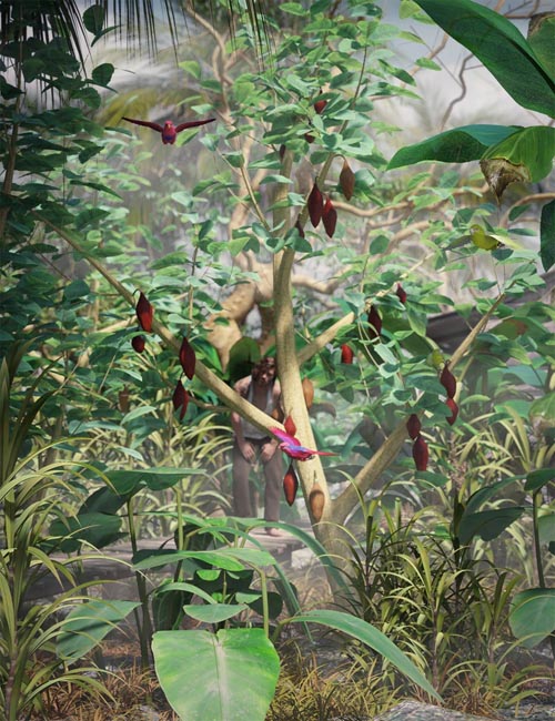 Tropical Plants - Edible Exotics