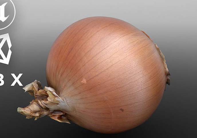 Photoscanned Onion for Unreal and Unity and FBX