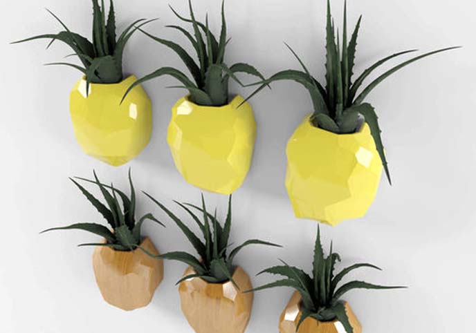 Pineapple flower set