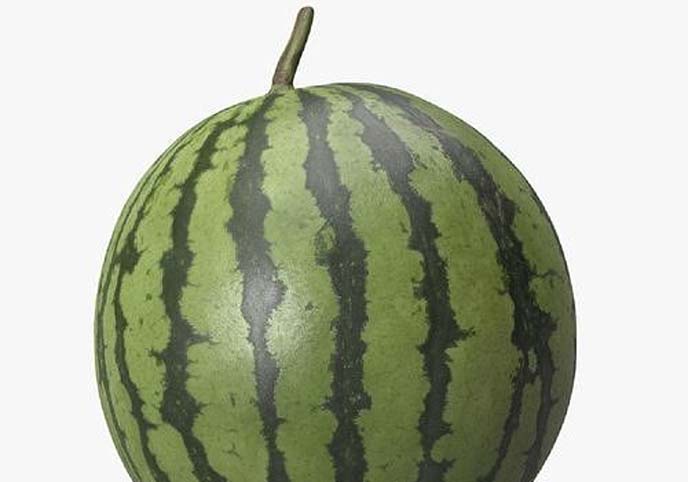 Watermelon Scan