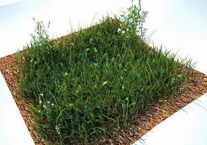 Grass Kit V2 for CInema 4D and Vray