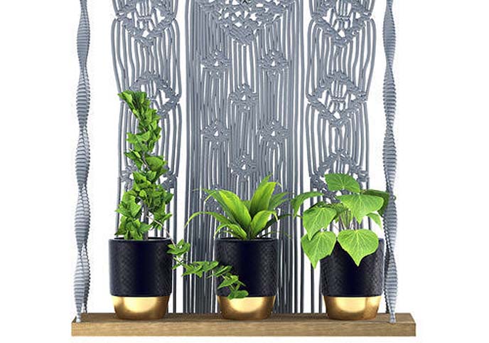 Indoor Plants in rusty Concrete Pot with Macrame