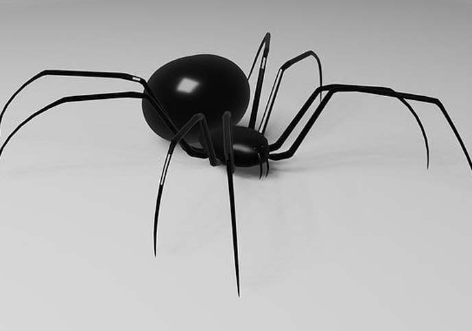 Simple Black Widow Spider