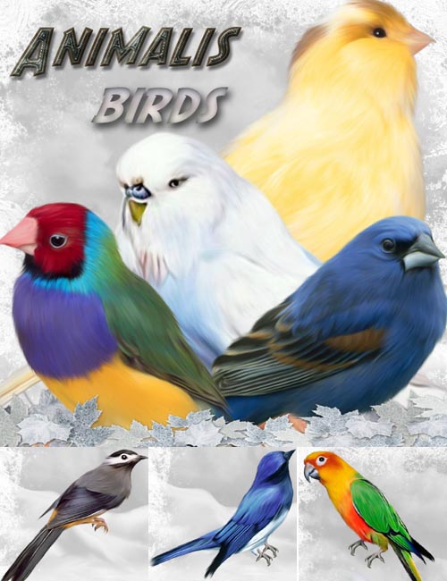 ANIMALIS-Birds