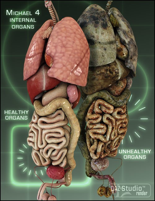 Michael 4 Internal Organs