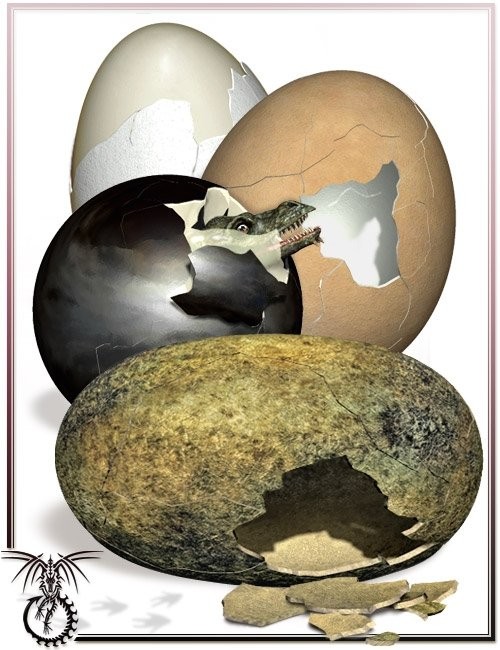 Hatching Egg [Iray UPDATE ]